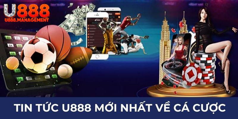 Tin tức U888 mới nhất về cá cược