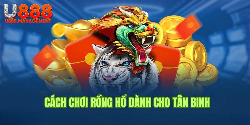 Những cửa cược cơ bản có tại Rồng Hồ U888